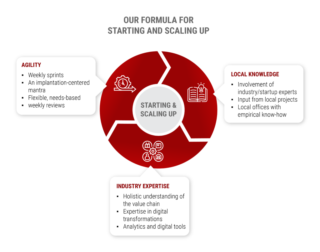 Startups & Scale-ups - Integration Consulting